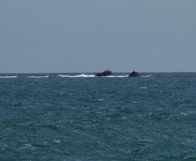 Прикрепленное изображение: 022.jpg